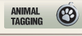 Animal Tagging